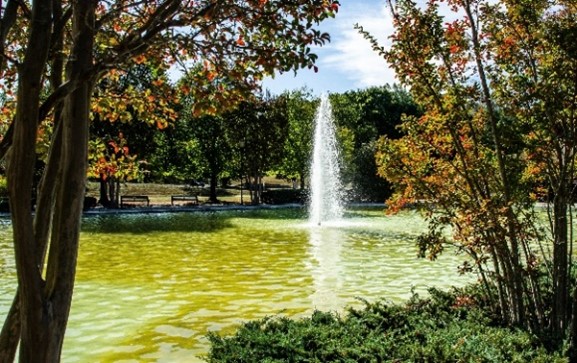 Cover Fall At The Fountain By Christine Edwards Friends Of Quiet 