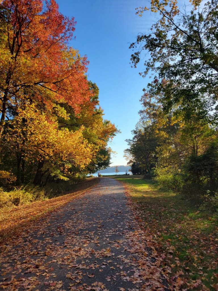 Autumn stroll - Skye Stahling