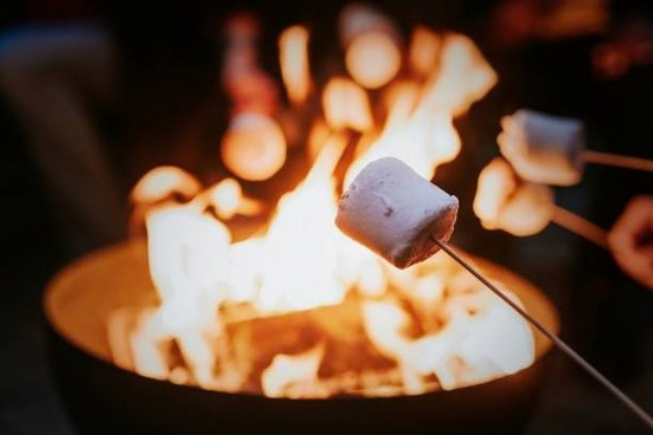 History Campfire Flyer-Friends.pdf